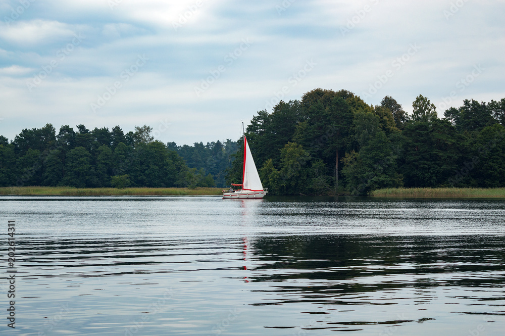 Ταπετσαρία Evening landscape with sailing boast on lake Galve with pine forest on the horiz