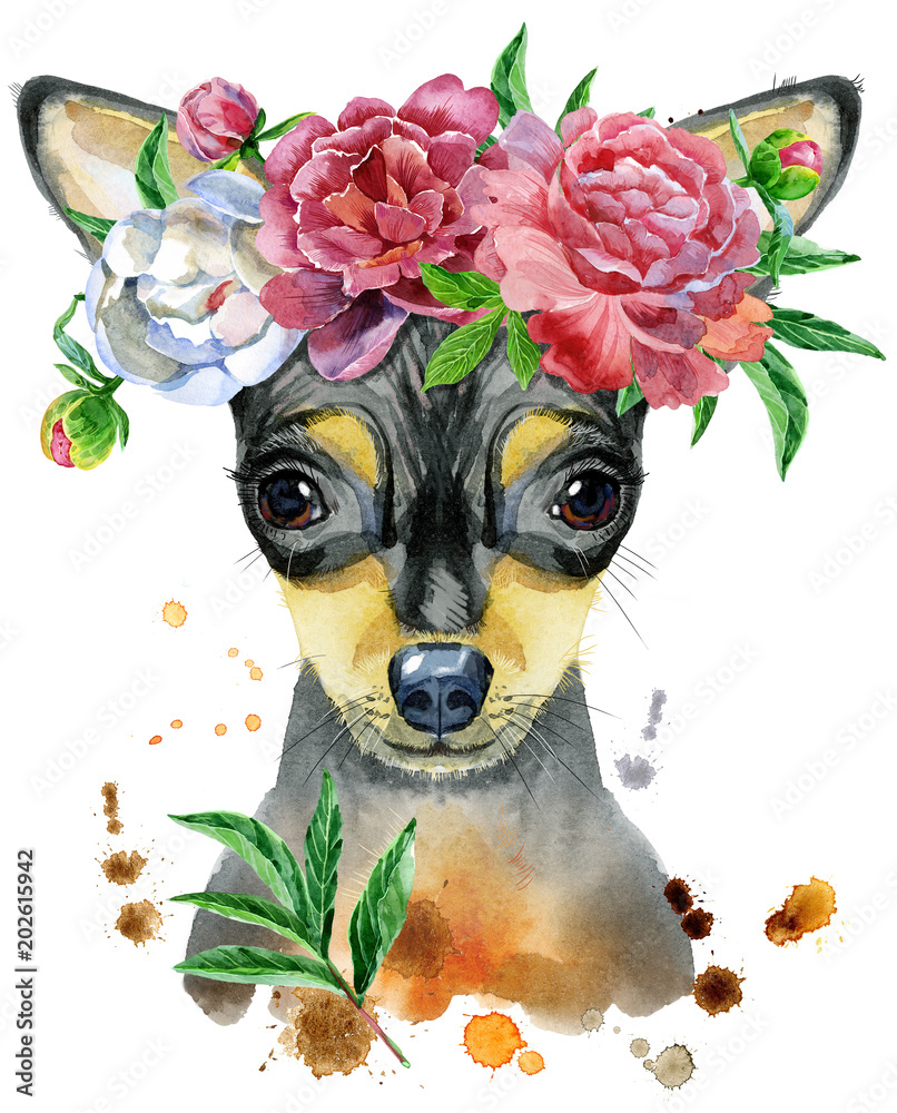 Plakat Akwarela portret zabawkarski terier z kwiatem