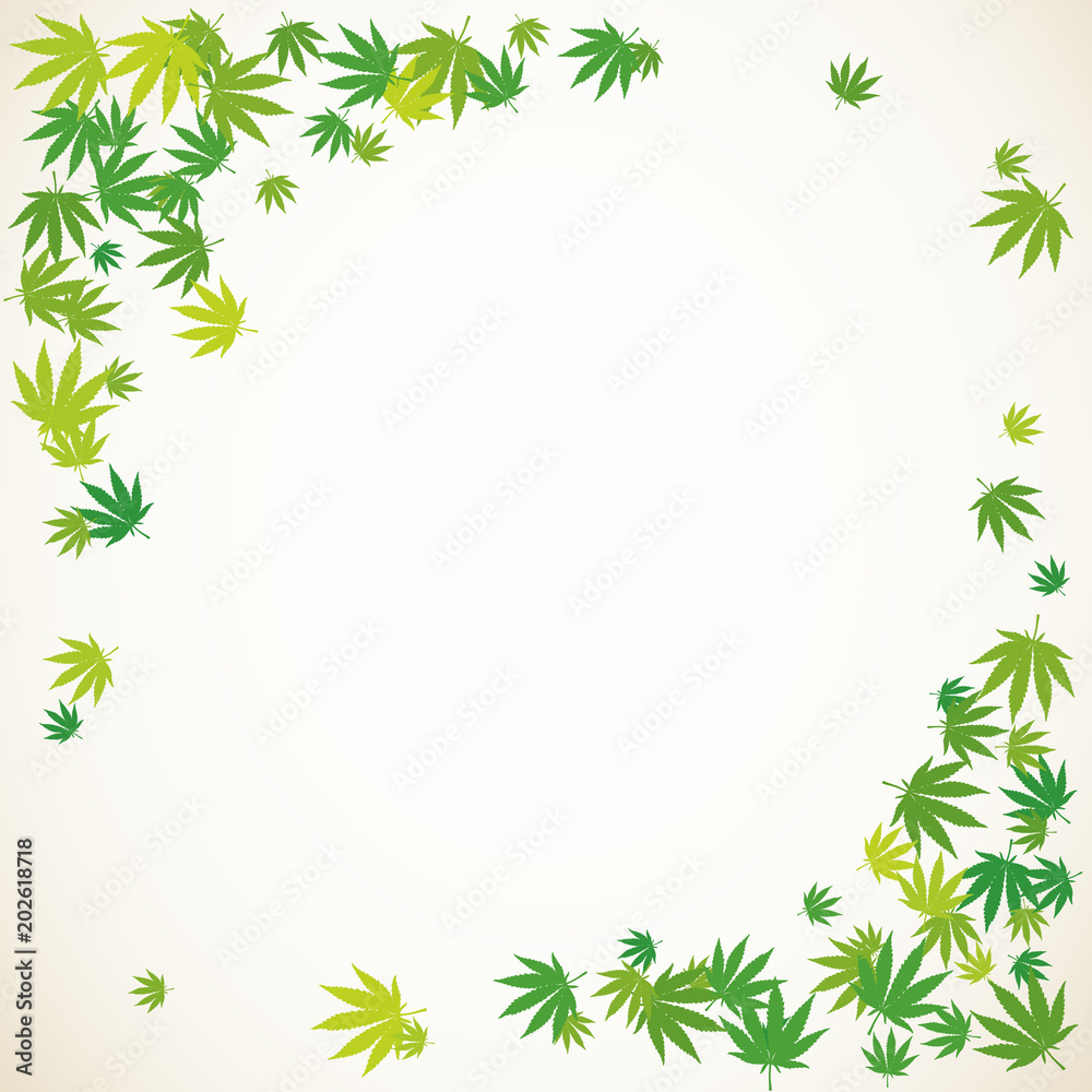 Hand drawn marijuana leaves frame background Hand drawn marijuana leaves frame background