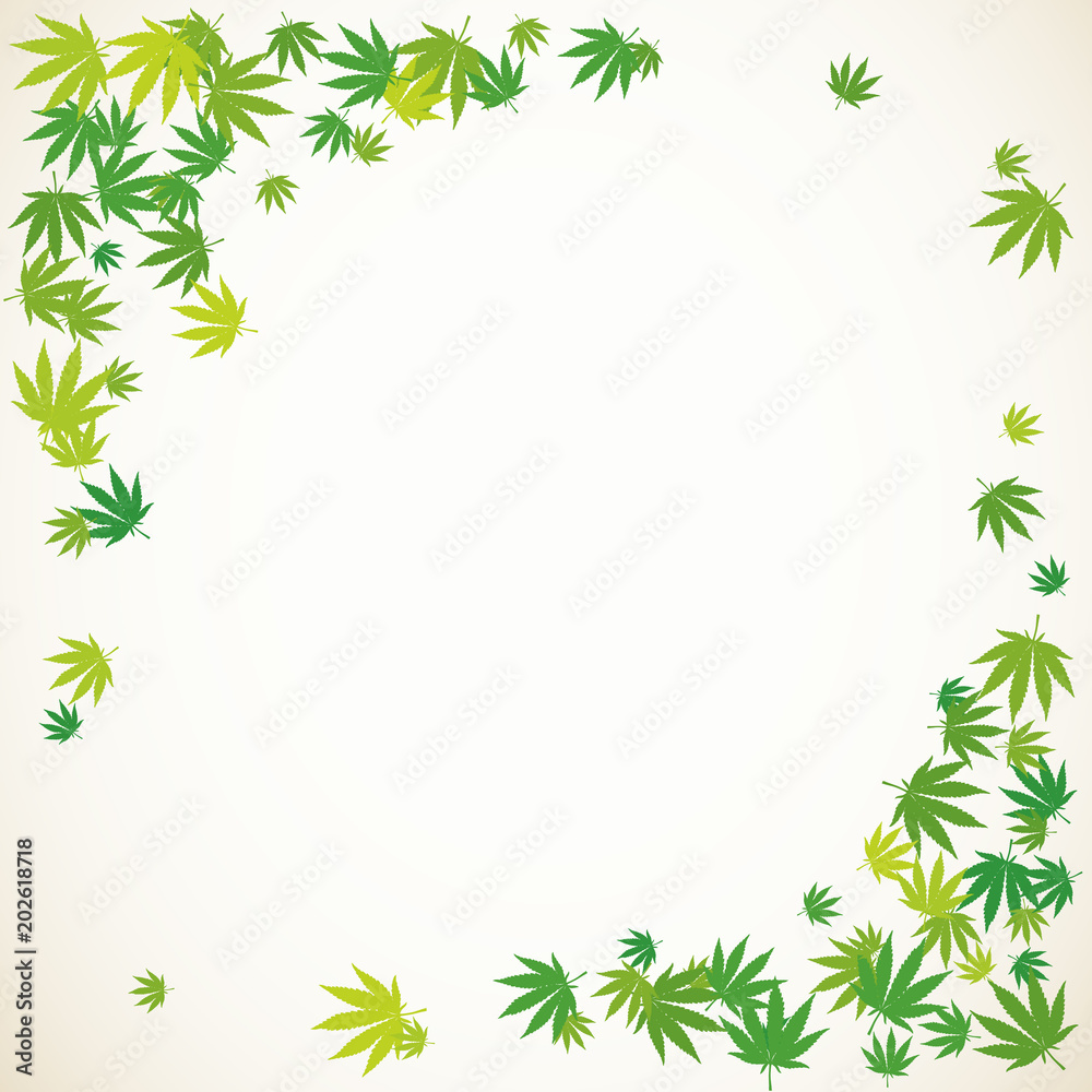 Hand drawn marijuana leaves frame background