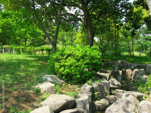 水路のある新緑の公園風景 © smtd3