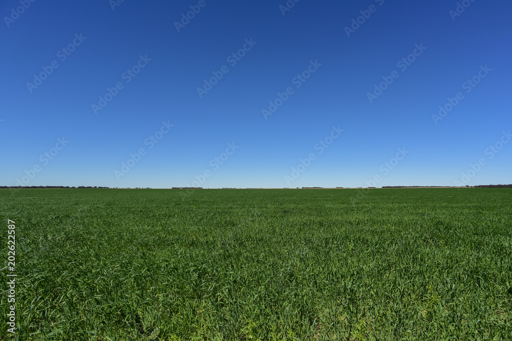 Diaphanous day, blue and green landscape Diaphanous day, blue and green landscape