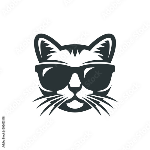Fototapeta Kot w okularach przeciwsłonecznych