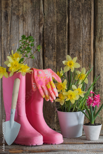 Fototapeta Naklejka Na Ścianę i Meble -  rubber boots and spring flowers on wooden background