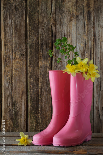 Fototapeta Naklejka Na Ścianę i Meble -  rubber boots and spring flowers on wooden background