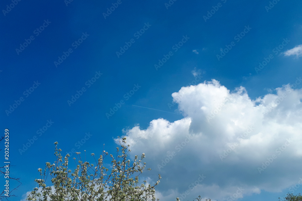 white cloud in the right part of the photo in the clear blue sky white cloud in the right part of the photo in the clear blue sky