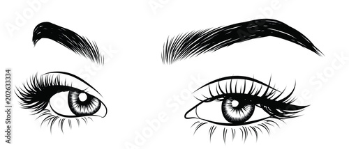 Illustration of woman's sexy luxurious eye with perfectly shaped eyebrows and full lashes. Hand-drawn Idea for business visit card, typography vector. Perfect salon look.
