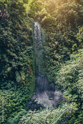 Waterfall deep in the jungle