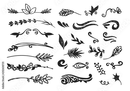 Hand drawn black floral elements on the white background. Floral decorative collection using for decoration of text, cards, invitation. Sketch of leaves and flowers.