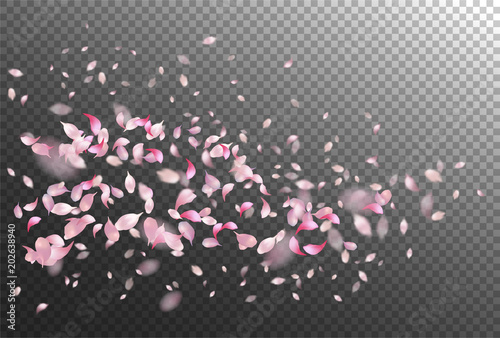 Petals Flying Background photo