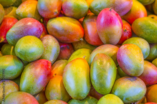 Variety of Mango Fruits Placed Bulk at the Market Storefront.