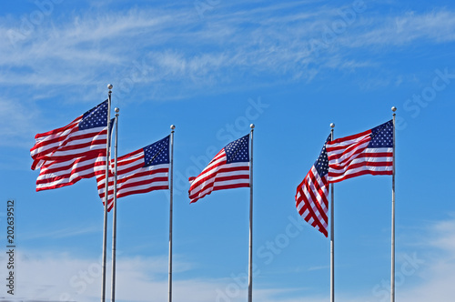 Row of American Flags waving in the wind