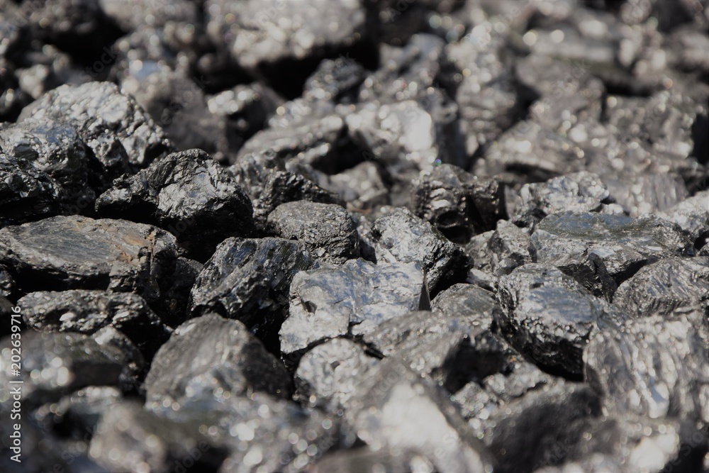 black stones similar to coal black stones similar to coal