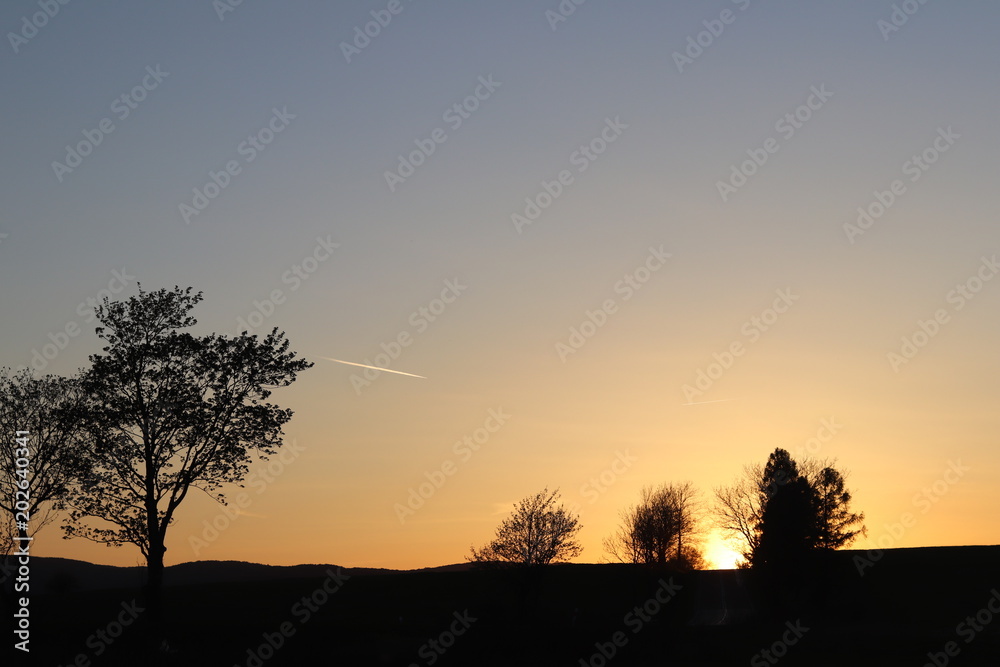 Dark silhouette of trees and cousins against the background of an orange sunset. Evening nature folds to a romantic mood. Warm colors. The region of the temperate climate of the European continent. Dark silhouette of trees and cousins against the background of an orange sunset. Evening nature folds to a romantic mood. Warm colors. The region of the temperate climate of the European continent.