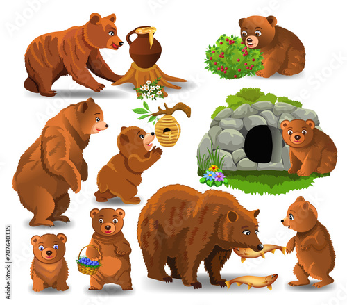 Cartoon bears doing different activities and eating their favorite food like honey, berries and fish isolated on a white background