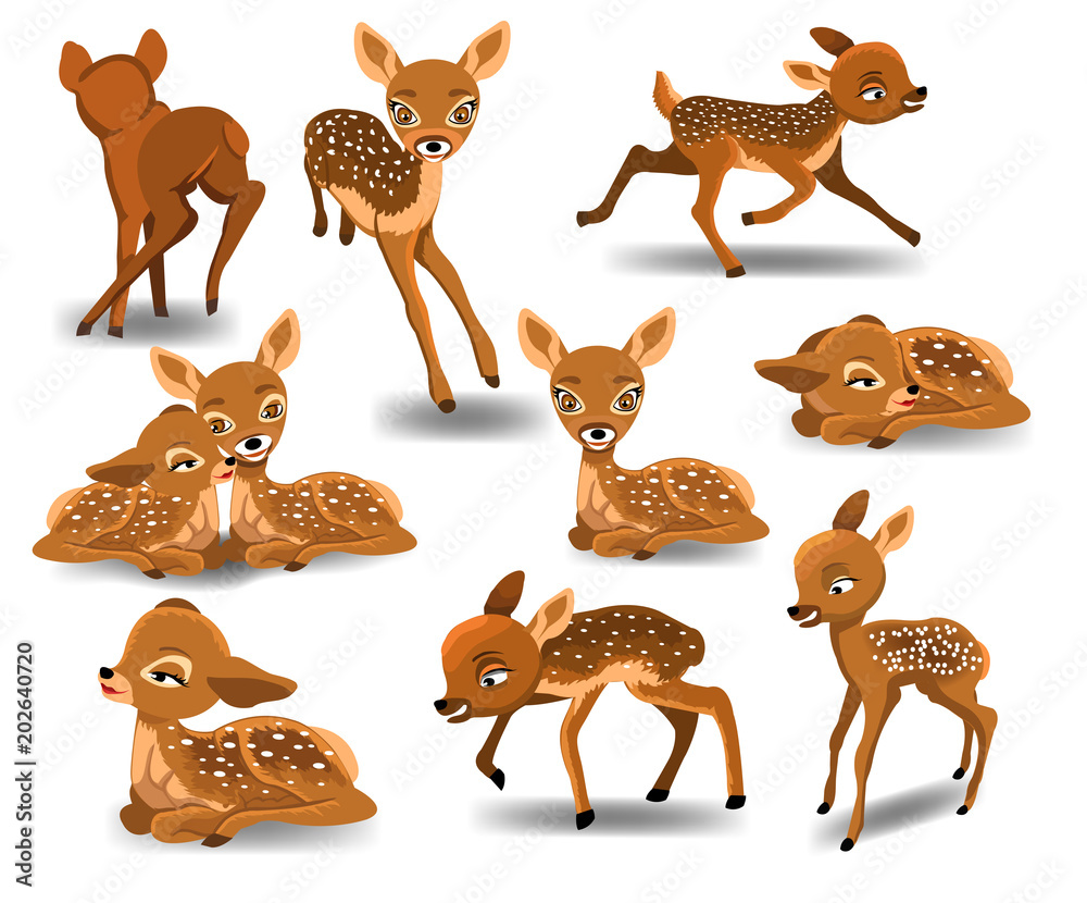 Obraz premium Fawn cartoon character doing different activities like running, resting, sleeping isolated on white background