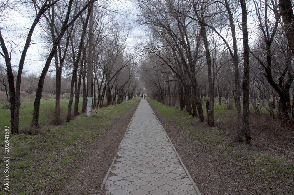 the path to the parks the path to the parks