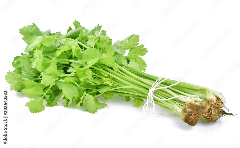 Chinese celery isolated on white background