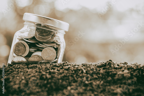 Coin in the glass jar growi...