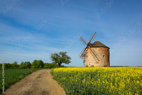 Road to the old windmill in Kunkovice village in South Moravia  Czech Republic