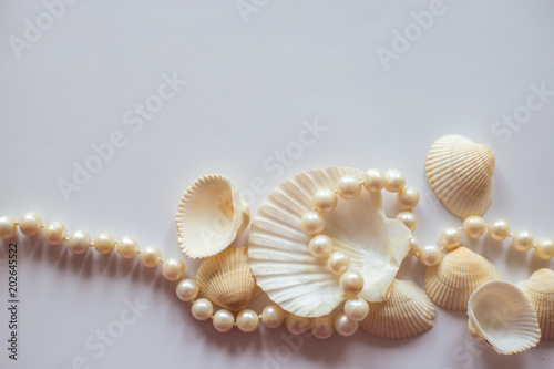 Pearl necklace,Shells,Sea,,пляж,ракушки,жемчужное ожерелье