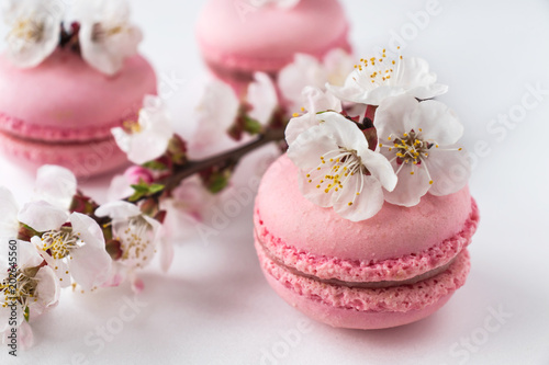 Pink macaroons with a branch of white flowers on a white background. French dessert and flowers blooming cherry. Sakura flowers with pink macaron. Close up © Alina