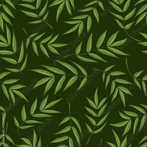 Seamless pattern from green leaves of mountain ash on a dark green background