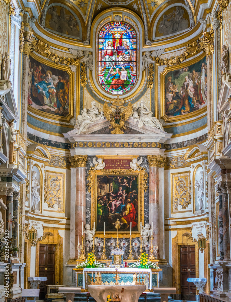 Church of Santa Maria dell'Anima, in Rome, Italy.