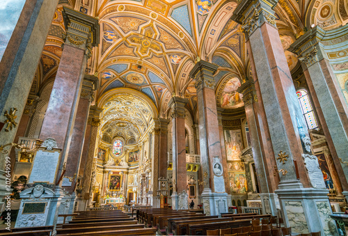 Church of Santa Maria dell Anima  in Rome  Italy.