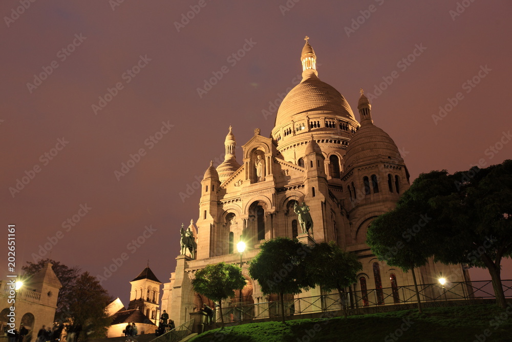 Cathedral in Paris night city lights, France. Tourist, summer. Buildings.