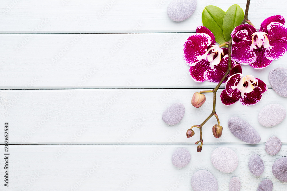 Orchid on a wooden background. Spa and wellnes scene. - obrazy, fototapety, plakaty 