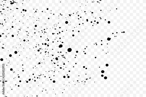 Paint splatter on transparent background. Black explosion of paints. Grainy textured design for craft paper art effect template visuals. Vector. photo