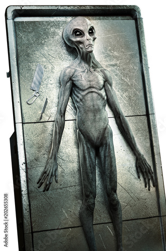 Photography Alien autopsy 3D illustration