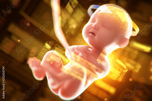 Babys brain and nervous system,3d rendering fetus with brain x-ray inside, 3d illustration. photo