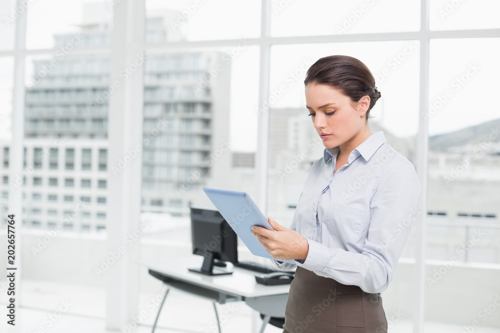 Serious businesswoman using table PC in office Serious businesswoman using table PC in office