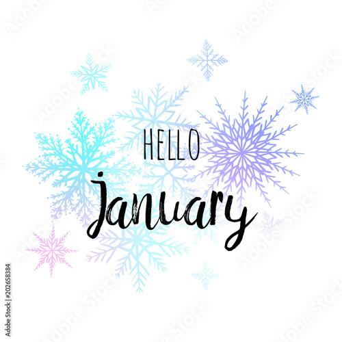 Hello January poster with snowlakes on the white background. Motivational print for calendar, glider.