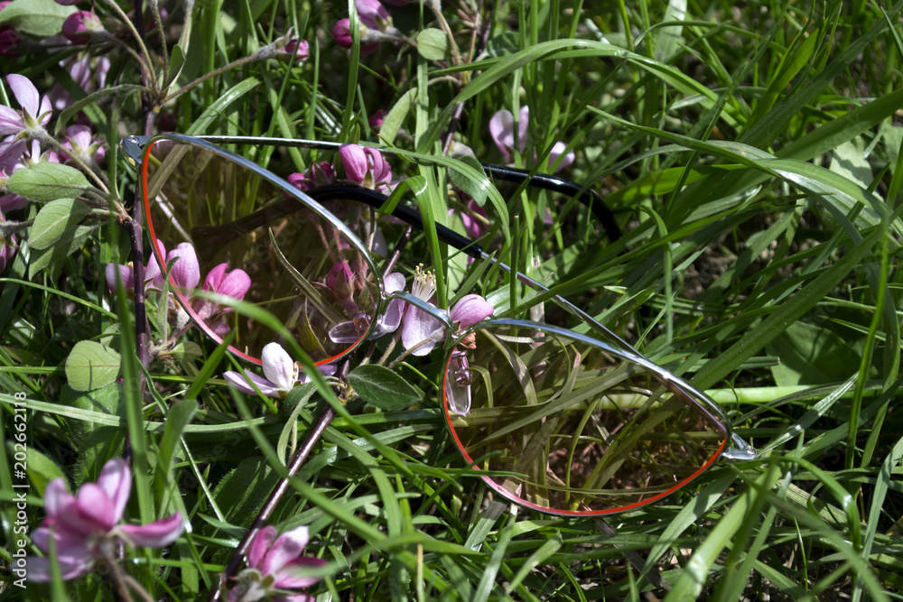 Pink glasses and blooming branch on a green grass. Pink glasses and blooming branch on a green grass.