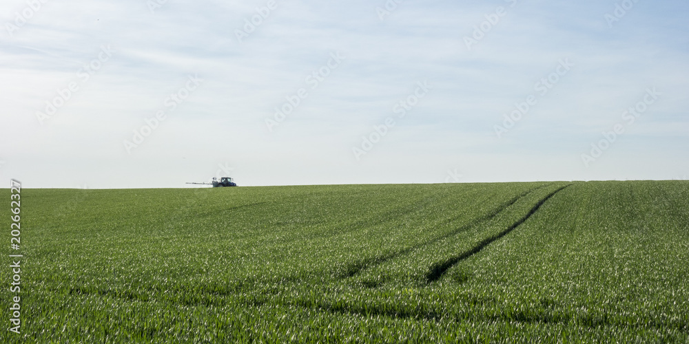 Un tracteur dans les champs