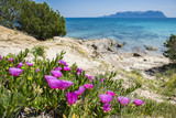 Cala Sassari beach - Sardegna