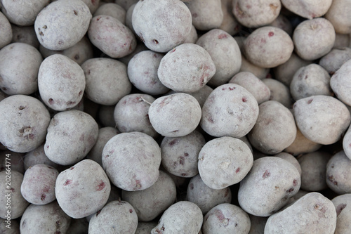 Red Norland Potatoes seed photo