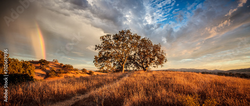 Rainbow over the golden hills of Mount Diablo in Northern California