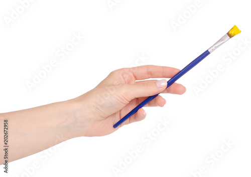 Brush for drawing in a hand painting
