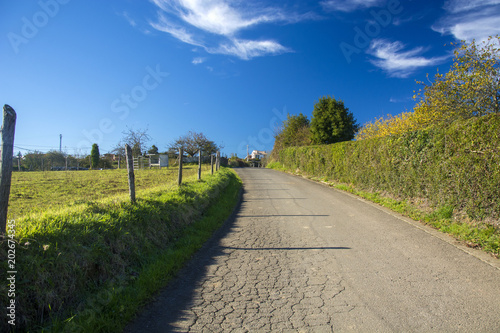 Photo of a landscape with road  blue sky and sunlight