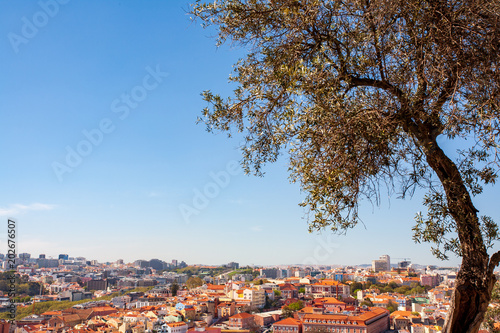 Old Lisbon Portugal panorama. cityscape with roofs. Tagus river. miraduro viewpoint. View from sao jorge castle photo