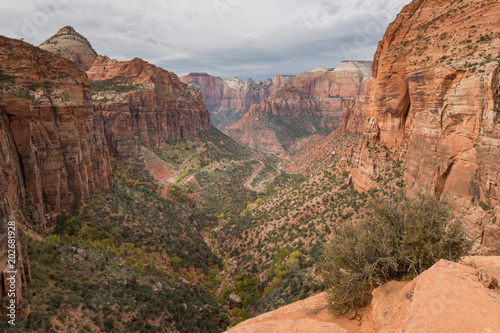 Canyon overlook at Zion National Park