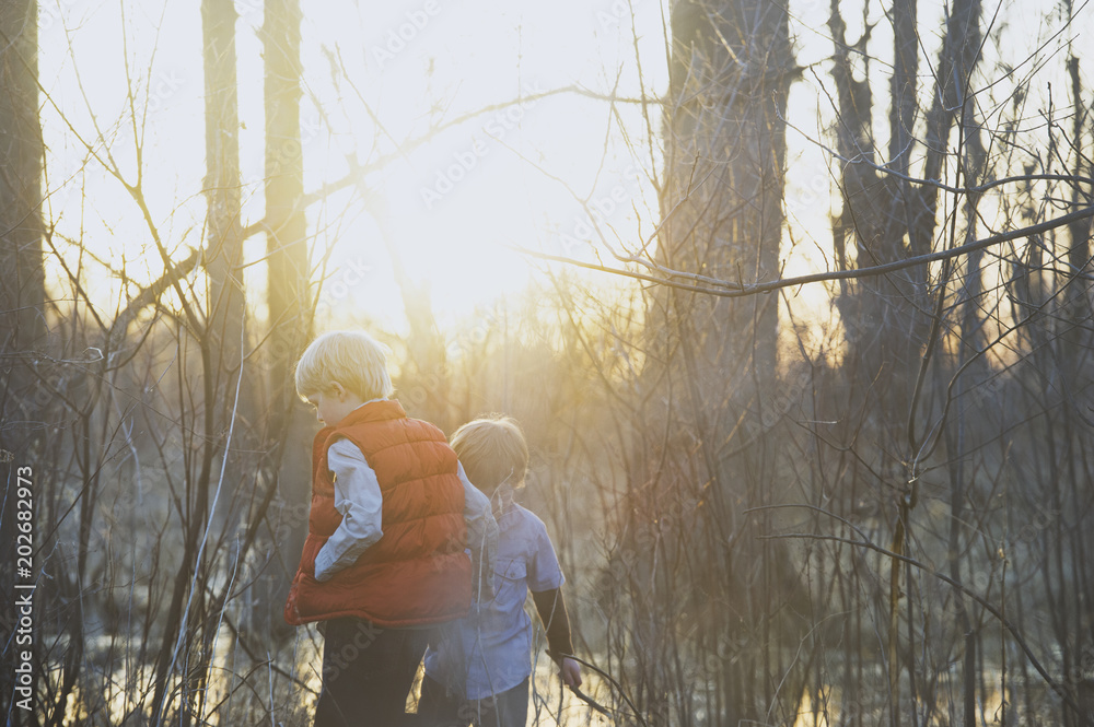 Fotografie Two young boys wandering through forest at sunset
