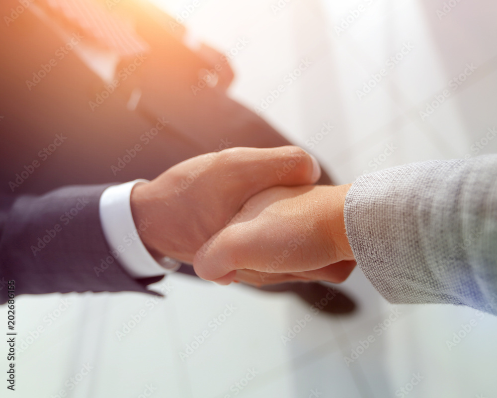Excited smiling businessman handshaking partner at meeting, Excited smiling businessman handshaking partner at meeting,