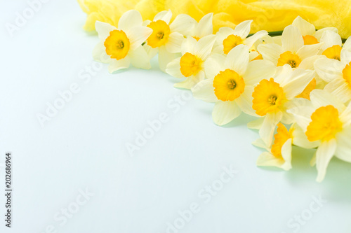 Fototapeta Naklejka Na Ścianę i Meble -  Daffodil spring flowers with yellow textile decoration on blue pastel background with copy space.
