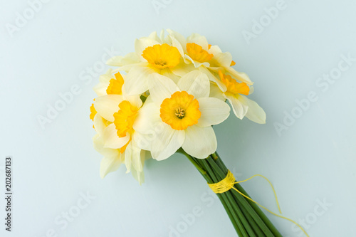 Fototapeta Naklejka Na Ścianę i Meble -  Spring flowers daffodil bouquet - white narcissus on blue pastel background.