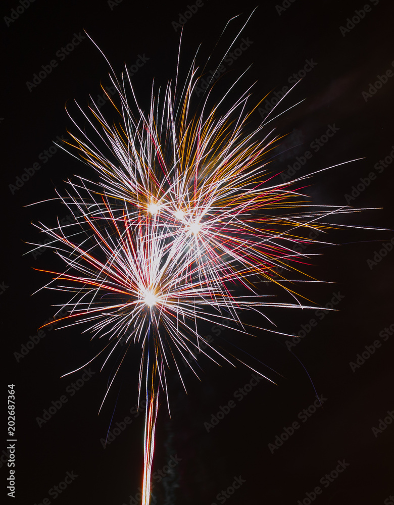 An image of fireworks exploding into the nights sky into the shape of a dandelion